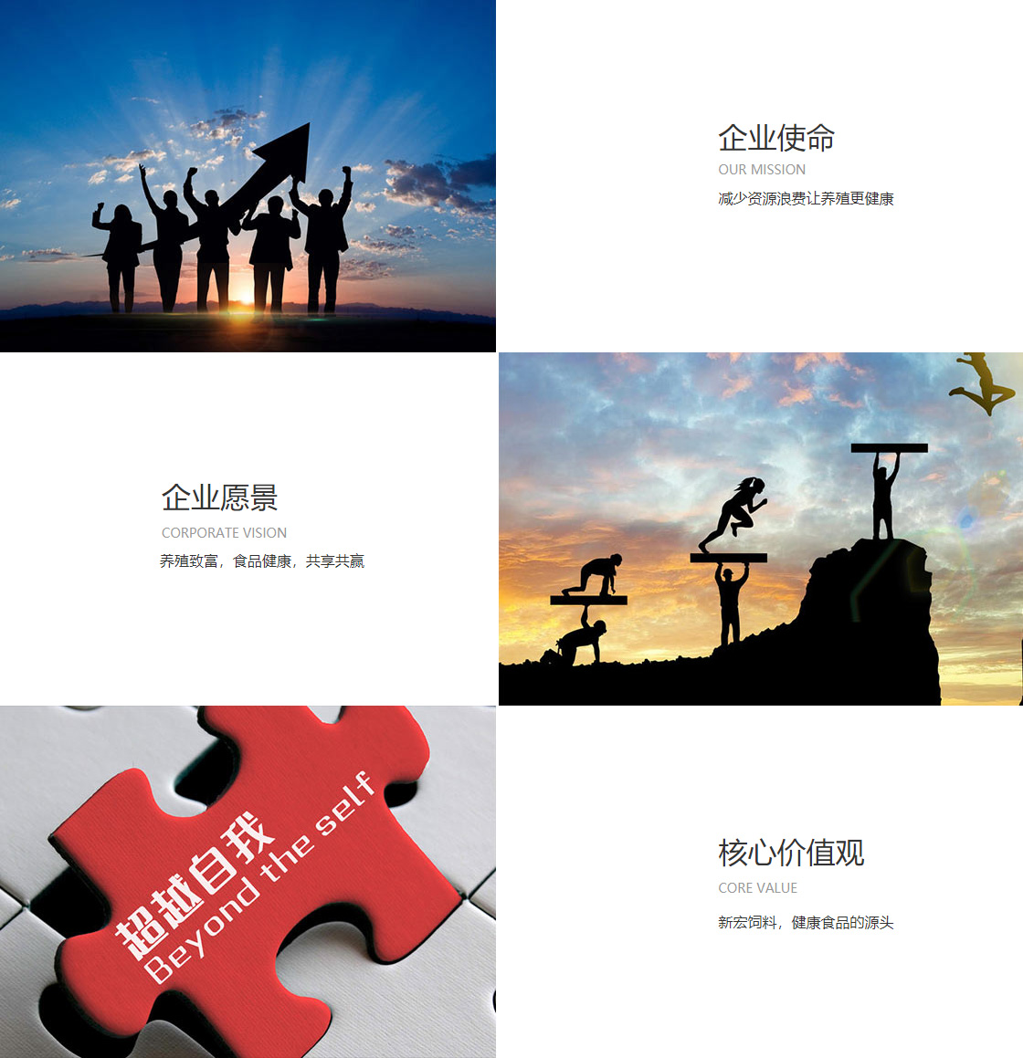 大众彩票第一娱乐平台(图1)